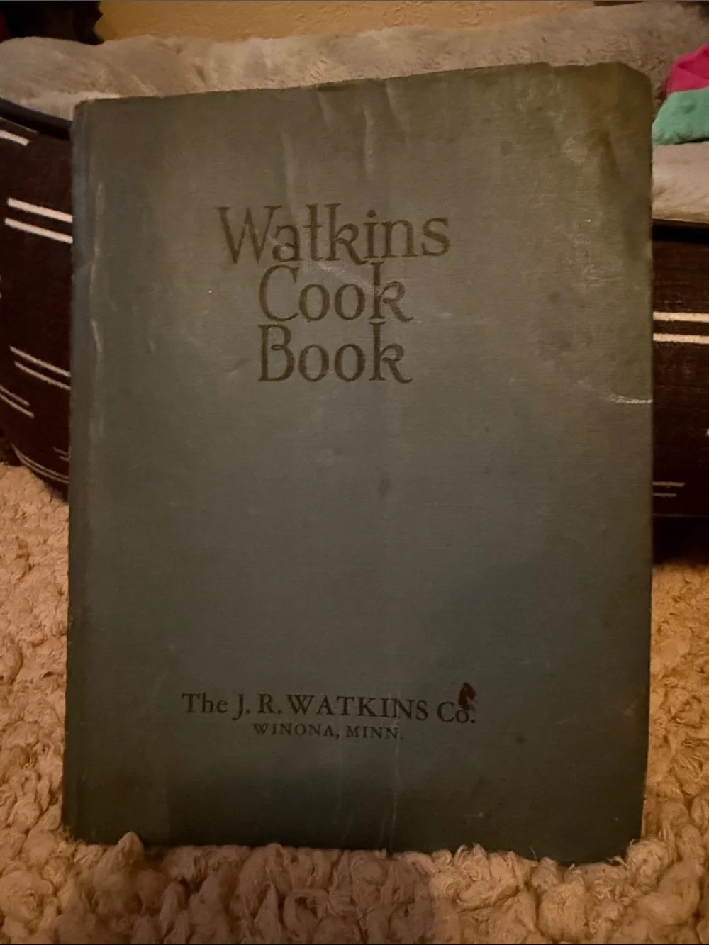 VINTAGE Watkins Cookbook J R Watkins Co RARE Collectible 1943 WINONA, MINN